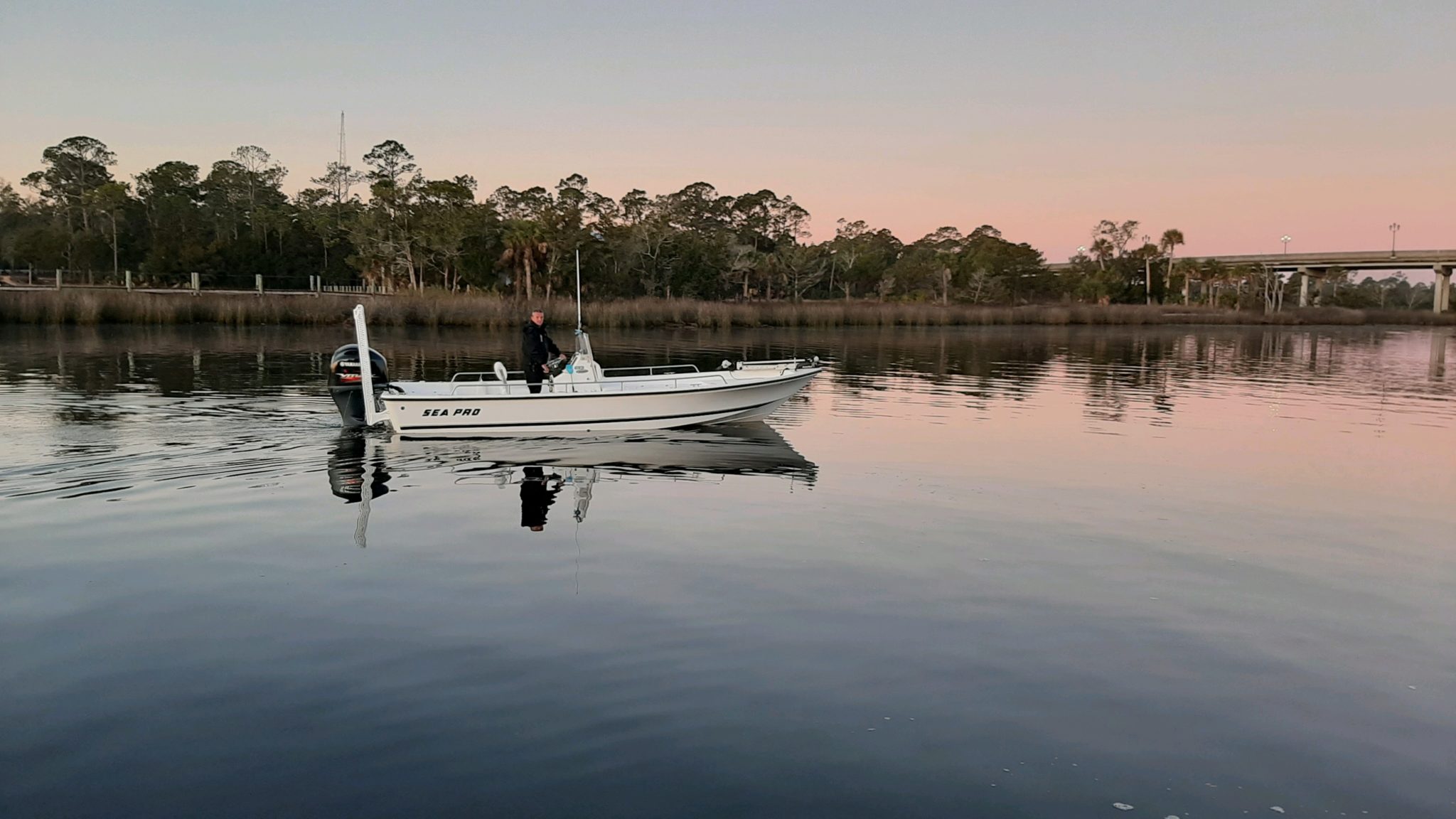 Best Scalloping Spots in Florida My Fishing Buddy Charters