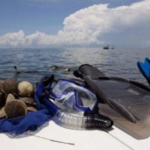 Scalloping florida