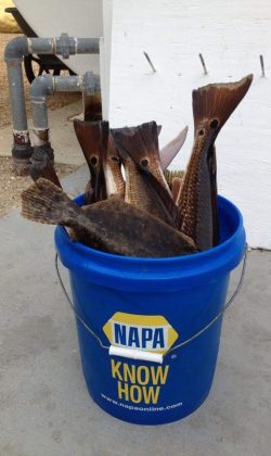 fishing charter steinhatchee