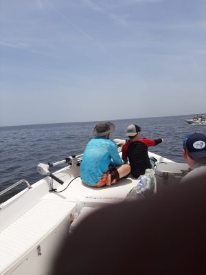 Scalloping Family activity