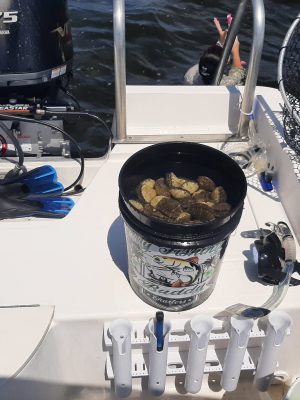 Scalloping Private Charters